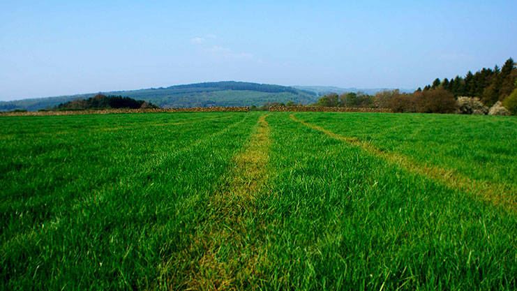 Students Newcastle Durham Sunderland